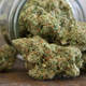 Image for article titled Signs You Definitely Smoke Too Much Weed